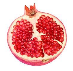 Halber Granatapfel