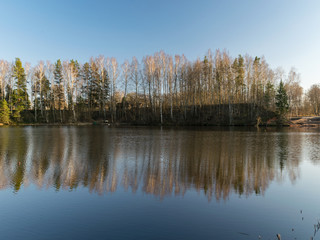 Fototapeta na wymiar tree reflections in water