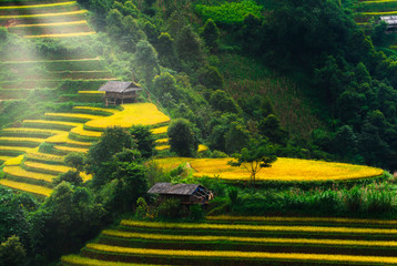 Paddy rijstterrassen op het platteland van Mu Cang Chai, Yen Bai, de vallei van bergheuvels in Vietnam.