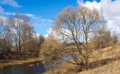 Beautiful blue sky with clouds and a large spreading tree over the river. Rural river in spring