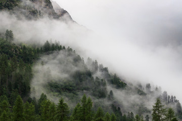 nubi basse in val Roseg, Engadina