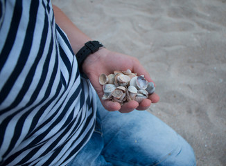 Seashells in the hands of a boy on a background of blue sea. Seascape. Recreation and tourism. Clean nature concept