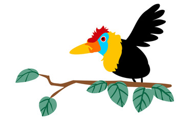 Fototapeta premium インドネシアの原色の鳥、アカコブサイチョウ