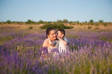 happy smiling family caucasian beautiful mother and small boy kissing her in summer blooming lavender flower field