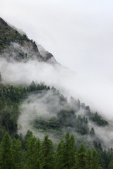 nubi basse in val Roseg, Engadina