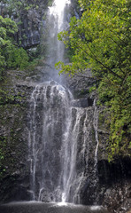 Hawaai roadside falls on Oahu Island