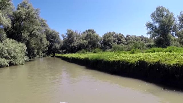 Delta Dunarii (Danube Delta)