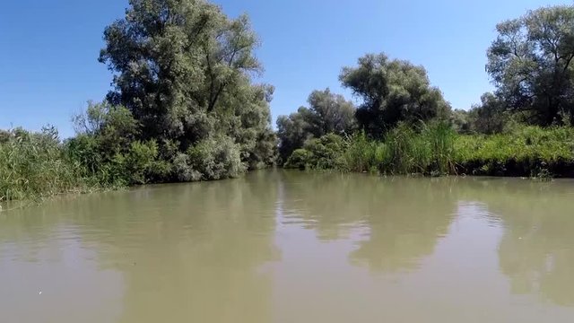 Delta Dunarii (Danube Delta)