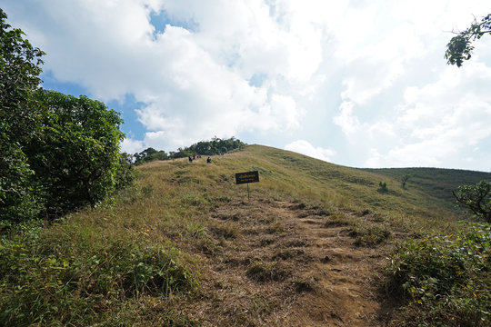 Natural trail footsteps to Thailand&rsquo;s largest azelia flowers 'DOI MON CHONG' with wooden signboard 'HIP HOP Slope' named by Omkoi district wildlife sanctuary- Chiang mai