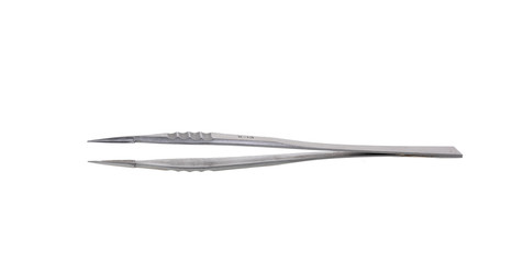 Forceps . Medical surgical hand tool. Medicine and health. Experimental tools isolated object on white background with cliping path