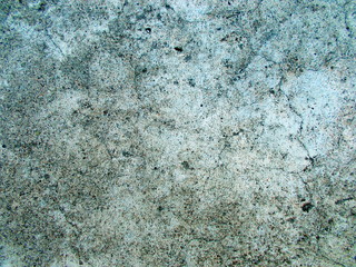 
Concrete painted wall of the building.
Blurred defocused background for web design. 