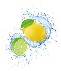 Composition with citrus fruits - lemon and lime in water splashes isolated on white background.