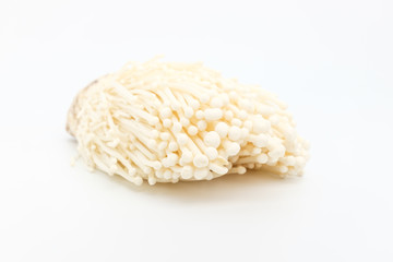 Enoki mushroom on white background