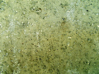 
Concrete painted wall of the building.
Blurred defocused background for web design. 