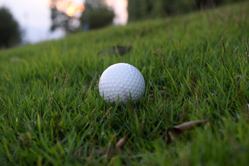 Golf on the green grass and the wood is ready for the hit.
