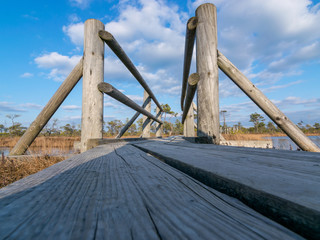 Fototapeta premium Walking trail in Kemeri moorland, early spring day, Kemeri national park,