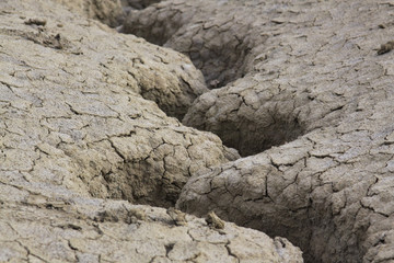 Undulated water canal in dry soil texture