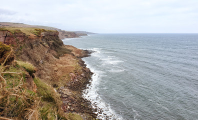 Fototapeta na wymiar Berwickshire Coastal Path from Berwick upon Tweed to Burnmouth - Scotland/England - UK
