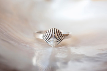 Sterling silver elegant ring in the shape of the sea shell on natural white shell background