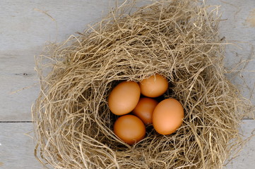 nest with raw chicken eggs on wooden background
