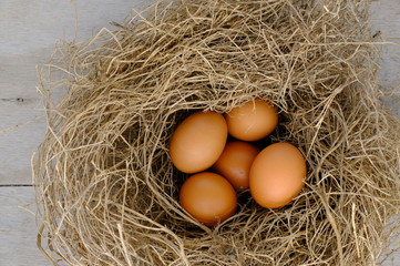 nest with raw chicken eggs on wooden background
