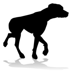 Obraz premium A detailed animal silhouette of a pet dog
