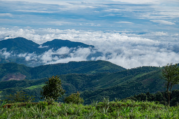 Obraz premium Beautiful Landscape of mountain layer in morning sun ray and winter fog at Chiangrai, Thailand