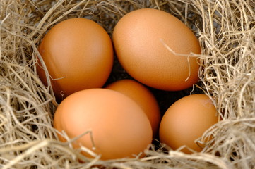 nest with raw chicken eggs on wooden background
