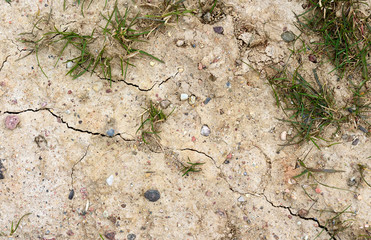 cracked clay ground into the dry season