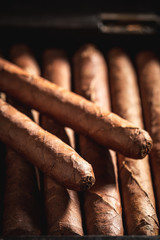 Closeup of rich smelling cigars in rustic wooden box