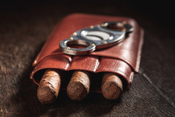 Closeup of three cigars in a leather container