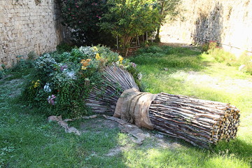 Greece island Rhodes  funny original flowers nature humor beauty