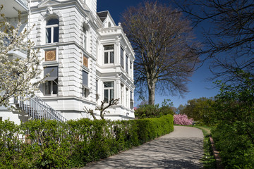 Hohes Elbufer Hamburg Ottensen Wanderweg