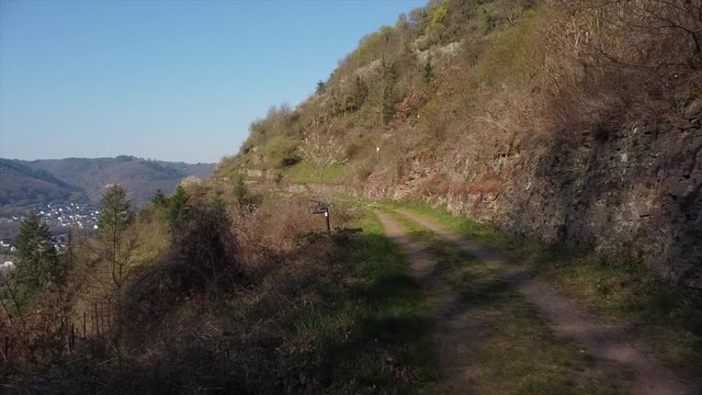 Moseltal bei Valwig, Weinberge, Beobachtungsgebiet Apolloweg