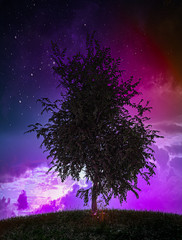 Fototapeta na wymiar Baum bei Nacht vor Sternenhimmel mit Wolken