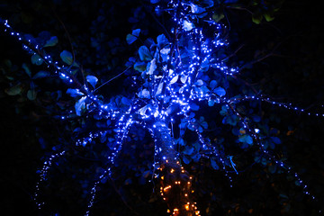 Glowing blue lanterns hang on trees in nature
