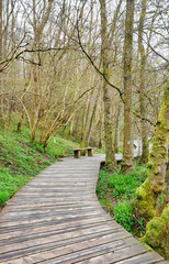 Fototapeta premium New Lanark and Falls of Clyde Circuit - Scotland - UK