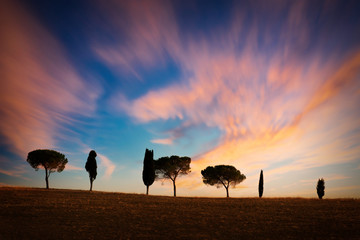 Fototapeta na wymiar Row of cypress trees at sunset, dramatic sky, typical tuscan landscape with copy space