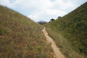 Natural landscape of grassy pathway to the mountain peak with cloudy blue sky