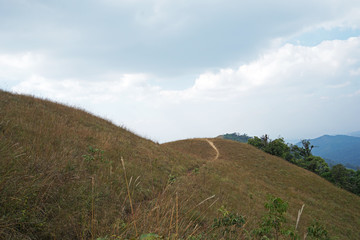 Natural landscape of grassy pathway to the mountain peak with cloudy blue sky