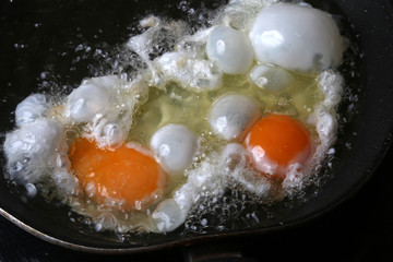 huevos fritos