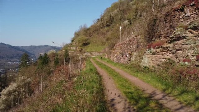 Moseltal bei Valwig, Weinberge, Beobachtungsgebiet Apolloweg