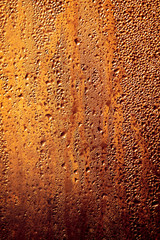 Drops of water on a glass in the golden rays of the sun.