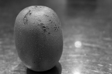Kiwifruit