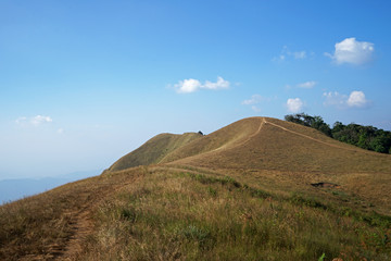 Natural landscape of grassy pathway to the mountain peak with cloudy blue sky