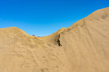 The upper edge of the sand dune in Maspalomas on the island of Gran Canaria in Spain