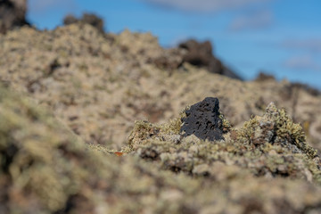 A piece of lava closeup on the island of Lanzarotte in Spain
