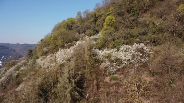 Moseltal bei Valwig, Weinberge, Beobachtungsgebiet Apolloweg