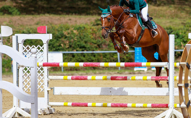 Show jumping horse in close-up with rider over the obstacle..