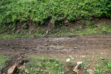 Forest in Suior area, Romania, spring cold day